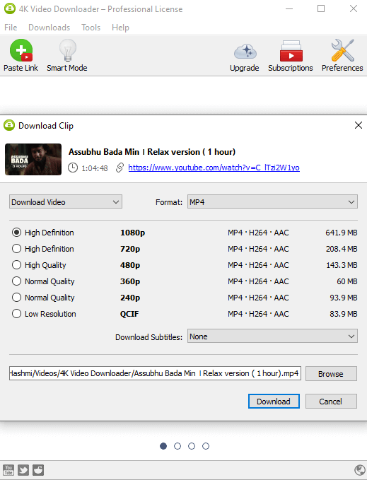 4K Video Downloader