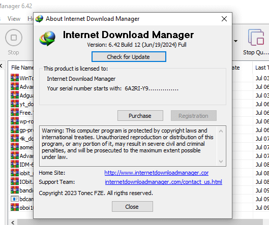 Internet Download Manager Repack