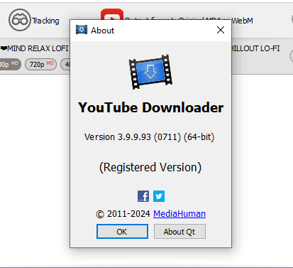 Youtybe Downloader Registered